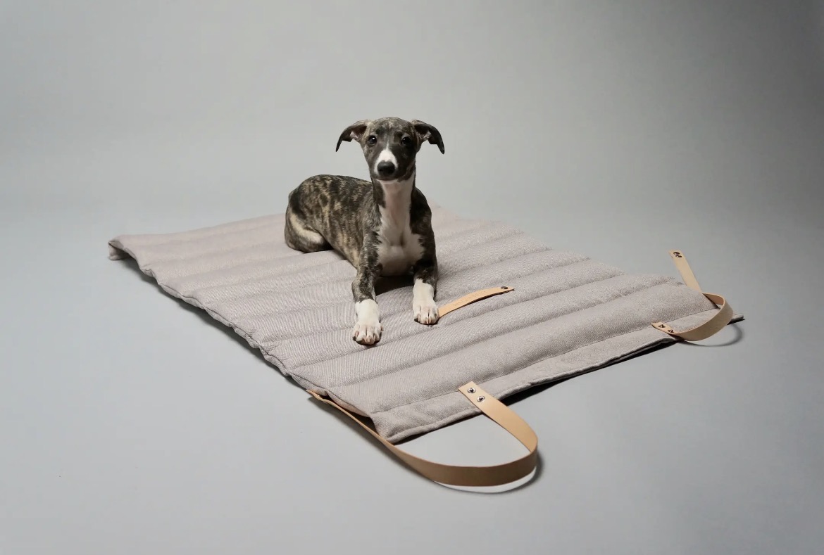 Chiot assis sur le matelas Fosser beige