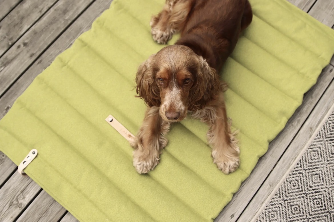 Chien allongé sur le matelas Fosser vert, en extérieur