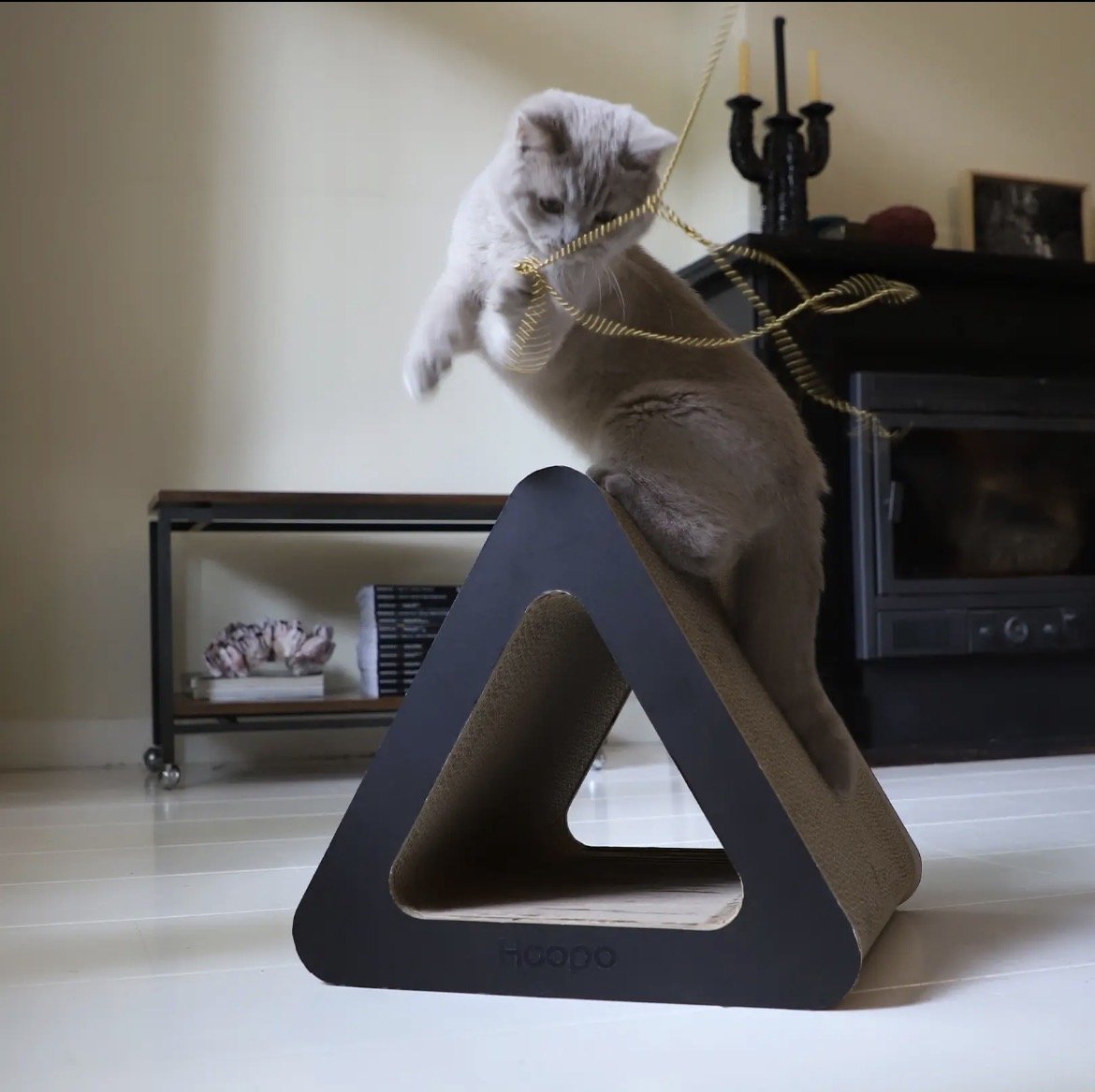 Chat qui joue perché sur le griffoir Triangle noir