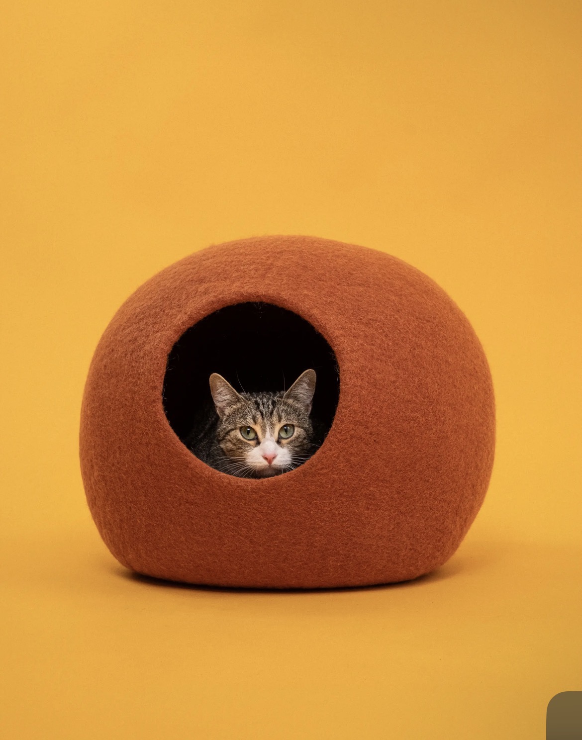 Niche Lora en laine feutrée, chat à l'entrée