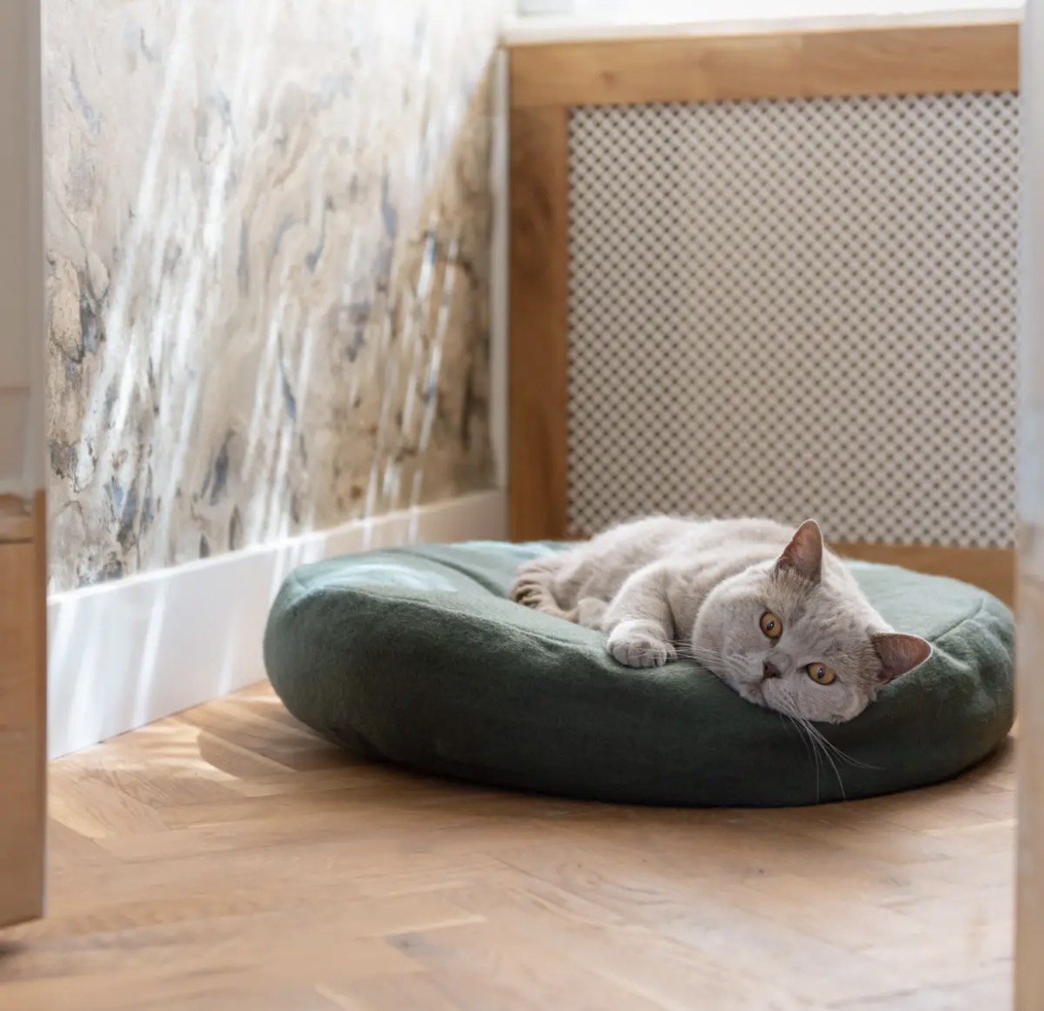 Chat sur le panier Donut, coloris vert foncé