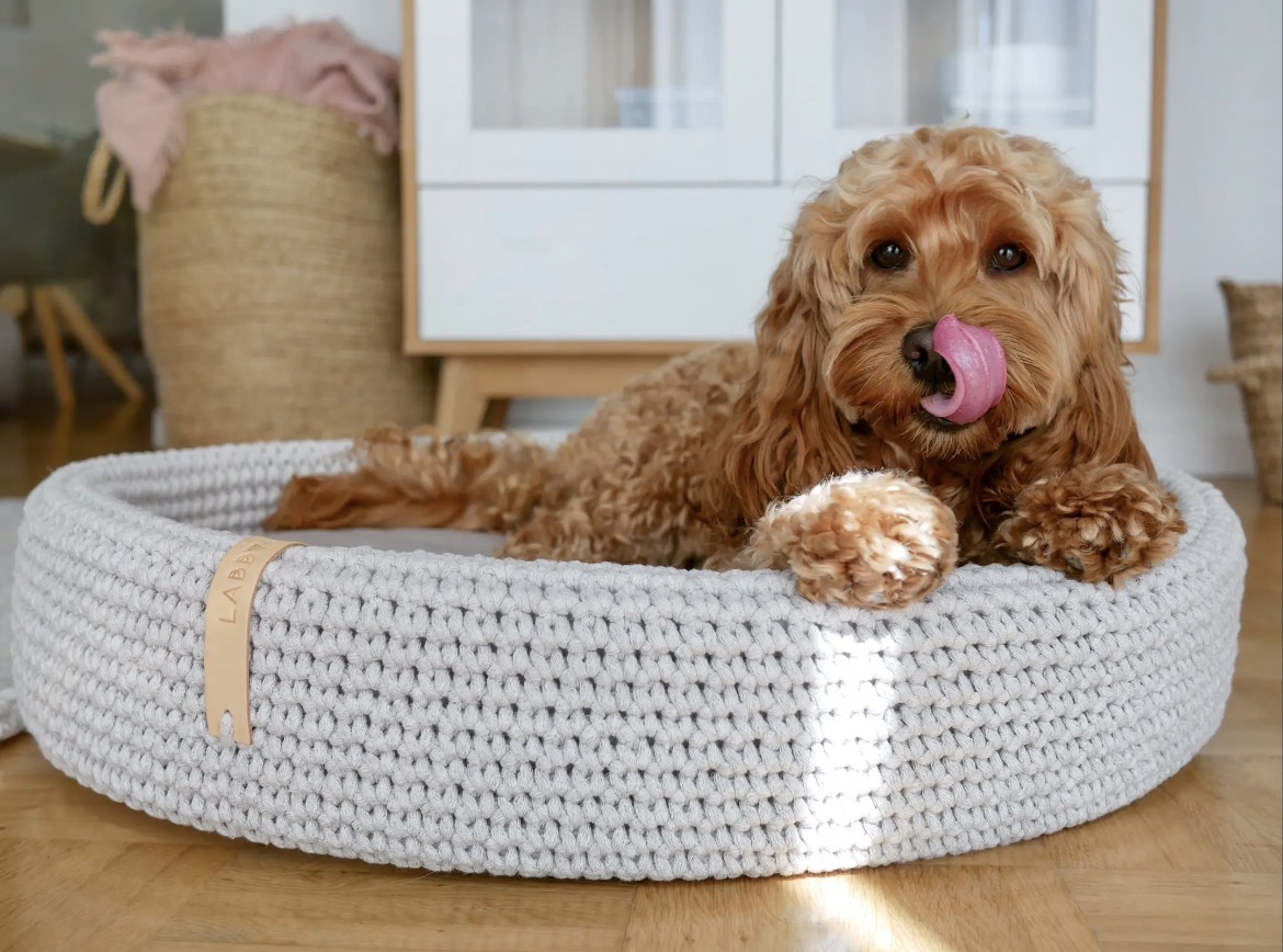Chien dans le panier Lukko gris clair, en situation