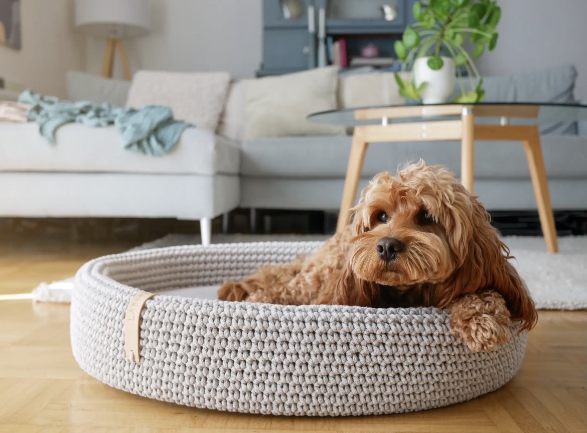 Chien assis dans le panier Lukko gris clair